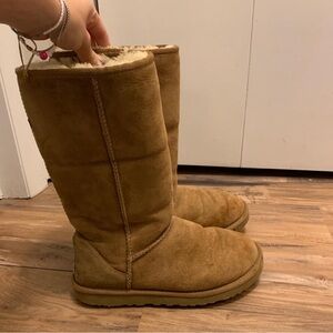 Ugg Classic Tall